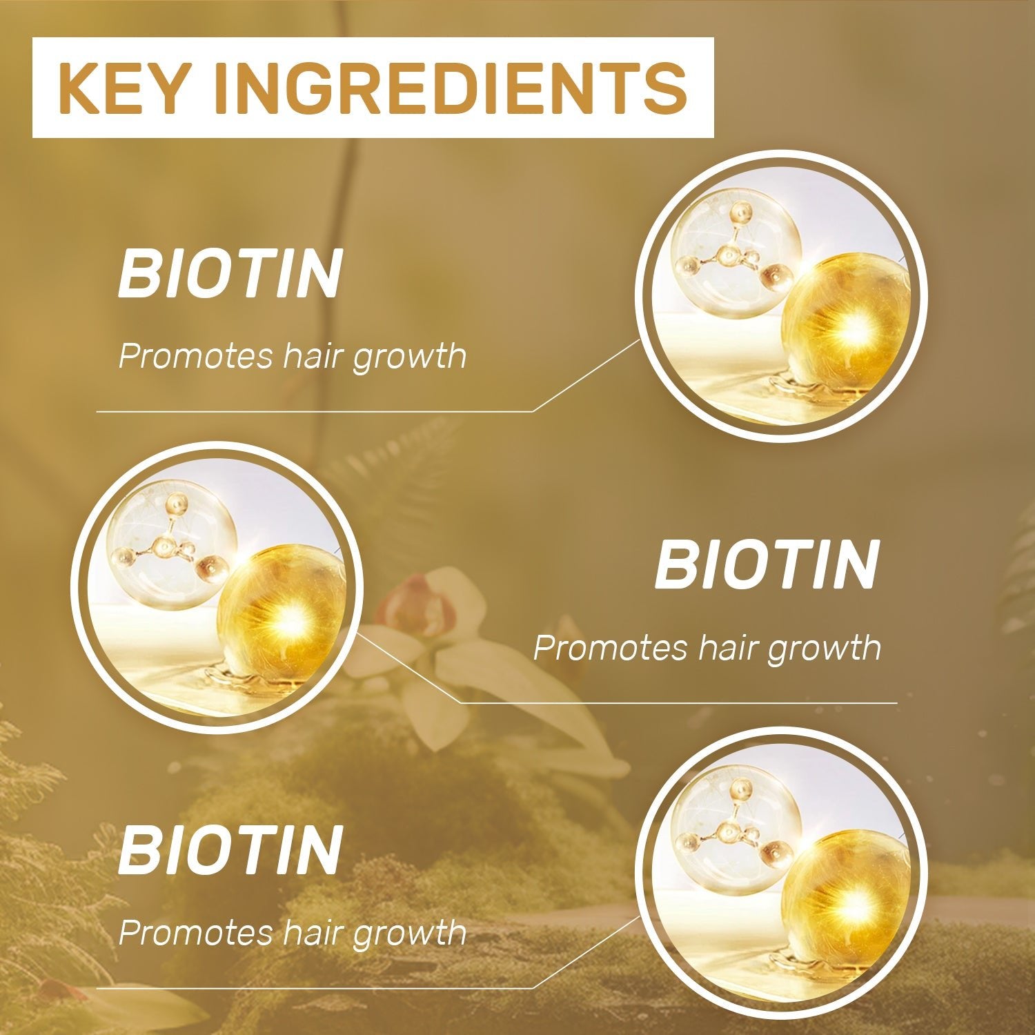 Biotin Shampoo – Strengthen & Nourish for Healthier - Looking Hair - Charms